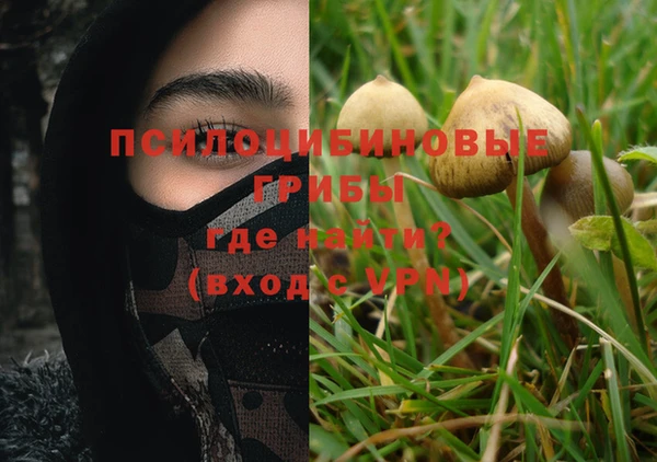 метадон Няндома